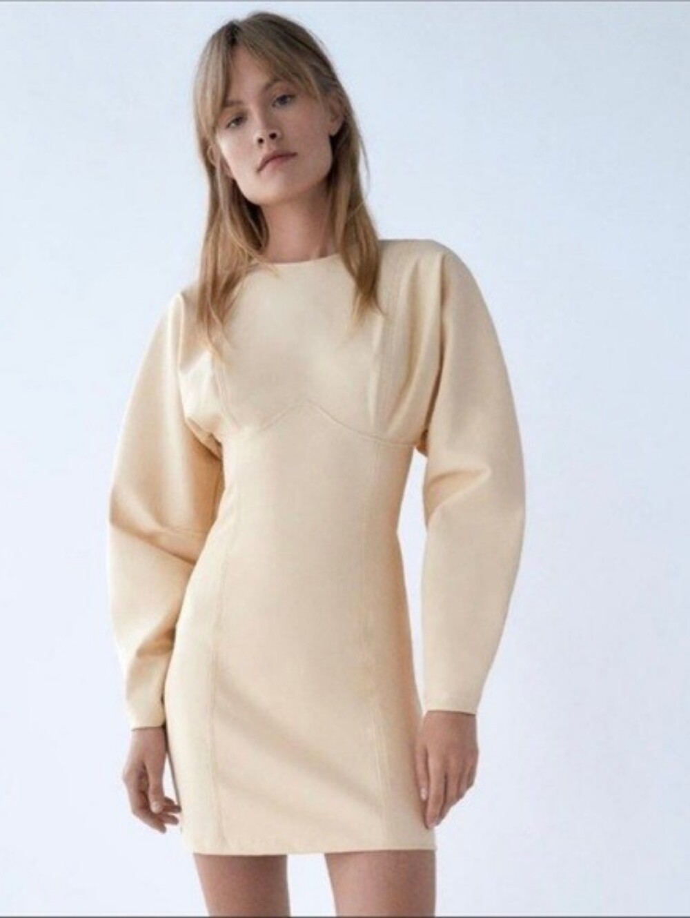 Zara NWT Neoprene Corset Seam Mini Dress Size Medium